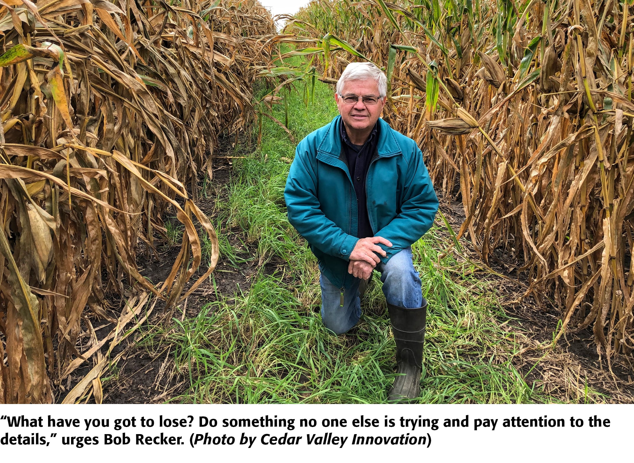 Corn Maverick Cracking the Mystery of 60 Inch Rows AgWeb